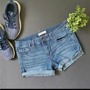 Bullhead Black Cutoff Jean Shorts